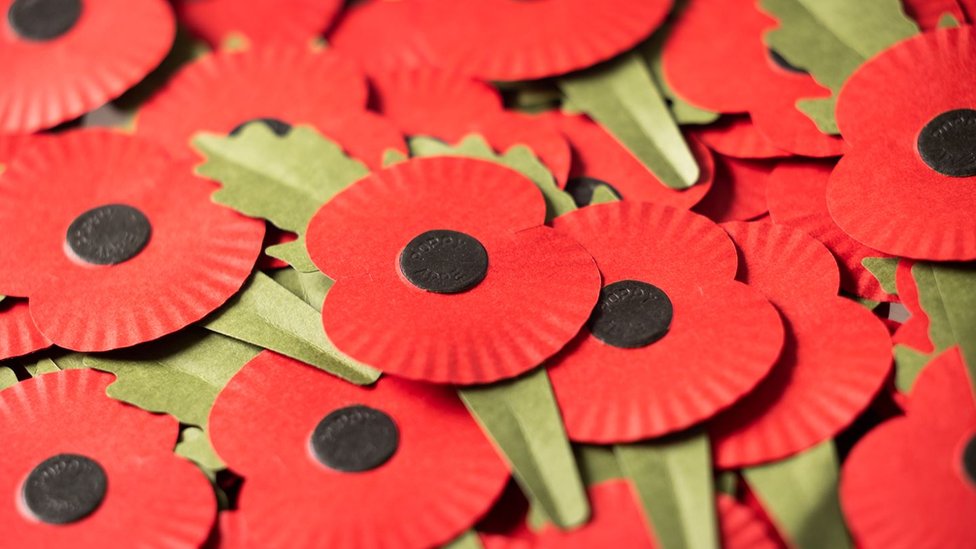 How the Poppy is changing in 2023 - Innovation of the Poppy 