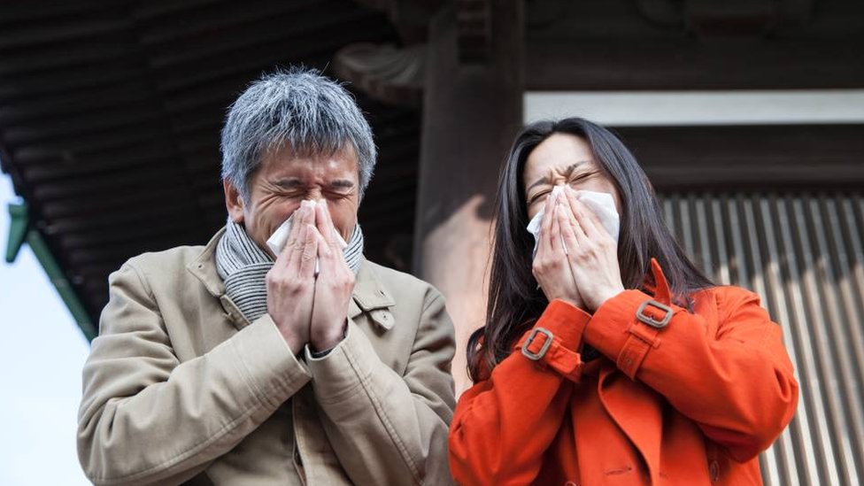 Dos personas en Japón estornudando