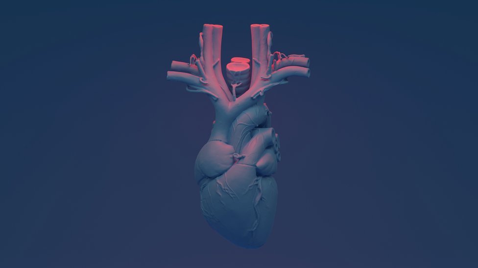 Ilustração gráfica do coração
