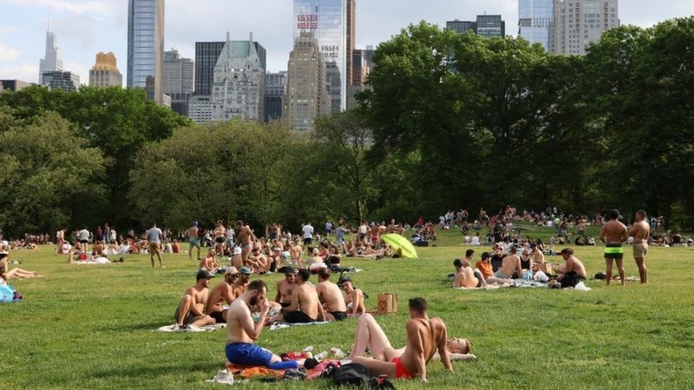 Pessoas tomam sol no gramado do Central Park