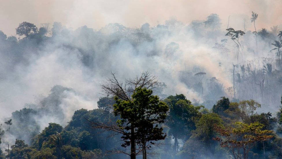 incendios en Amazonía