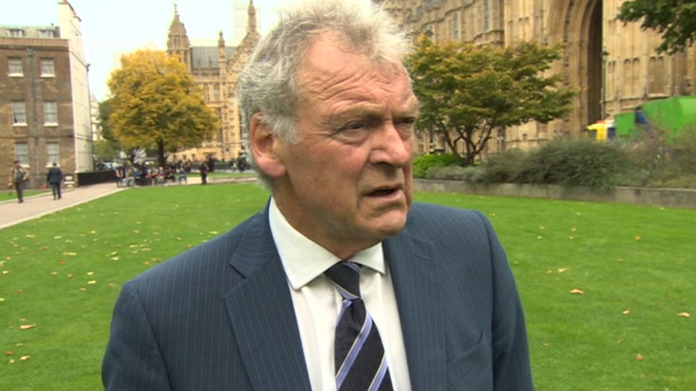 Cutting Welsh MPs undermines democracy, Glyn Davies claims - BBC News