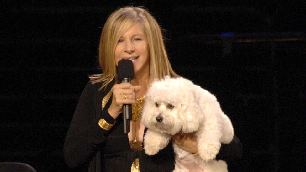 Barbra Streisand 2006'da köpeği Samantha ile.