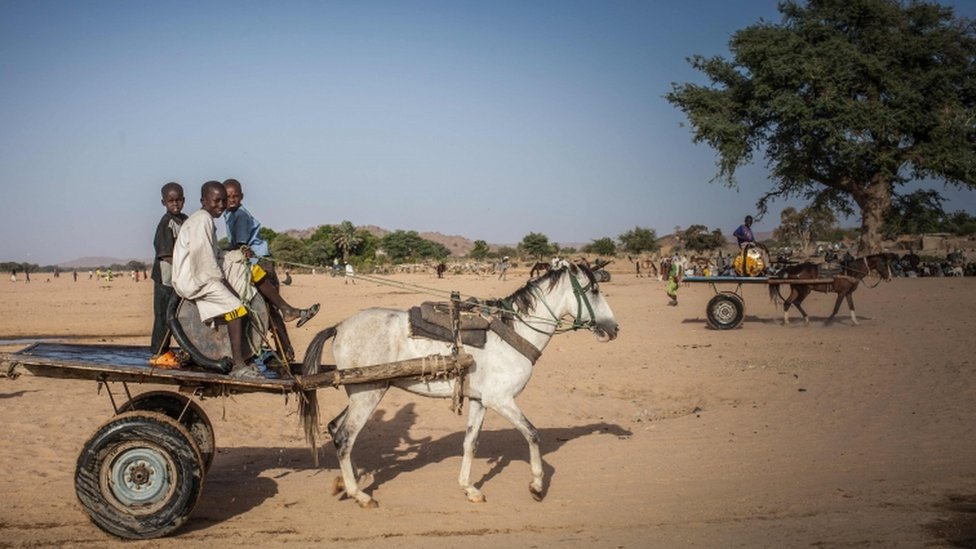 Niños en una carreta en Chad en busca de agua.