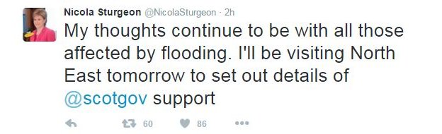 Sturgeon твит