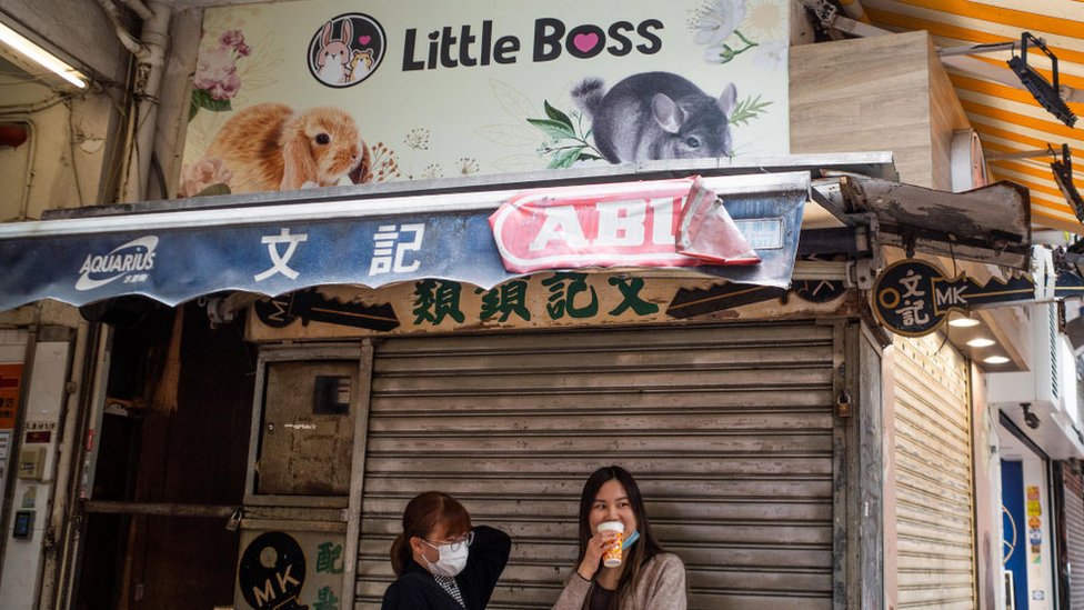 Tienda de mascotas Little Boss en Hong Kong.