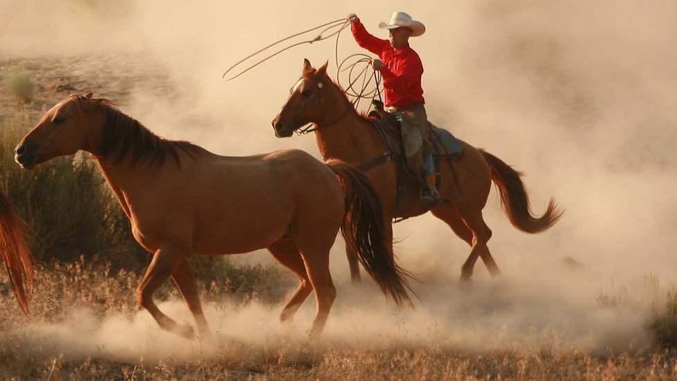 El sueño de Brock de pequeño siempre había sido ser vaquero. (Advertencia: No es la persona que aparece en la foto). Vauquero echando el lazo a un caballo.
