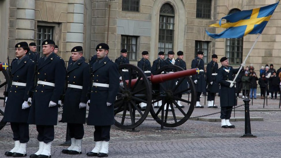 švedski vojnici
