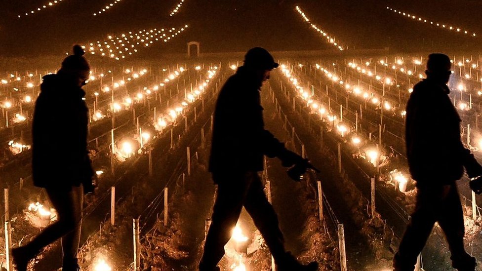 French winemakers fan flames to save 2022 crop