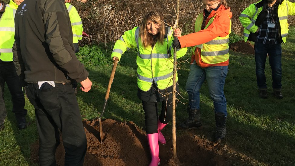Эдвина Ханнафорд сажает первое дерево