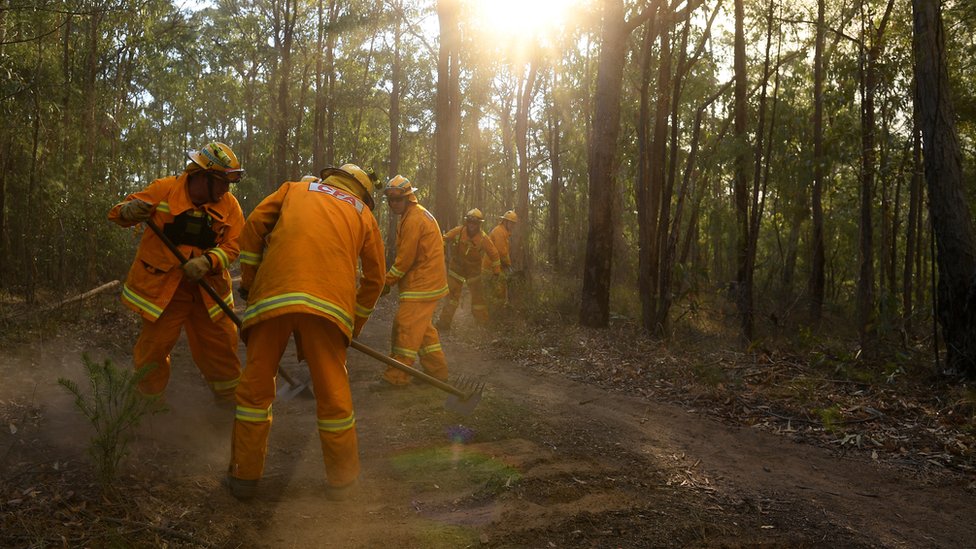 Пожарные бригады в Австралии работают над созданием контрольных линий - или противопожарных перерывов - чтобы замедлить распространение огня