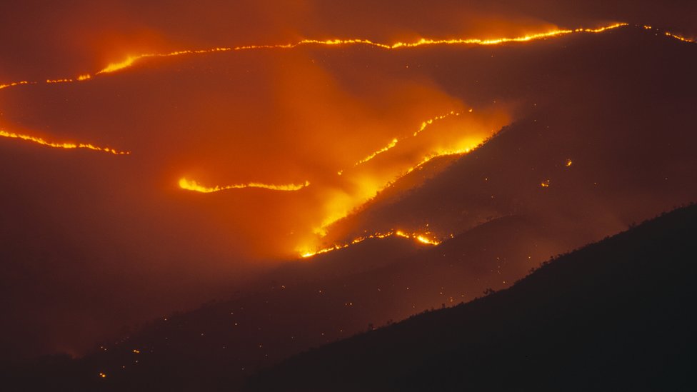 Imágen de archivo de un incendio en el parque nacional Mochimo en Venezuela