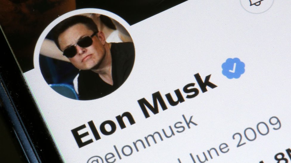 Elon Musk puts future as Twitter chief to public vote