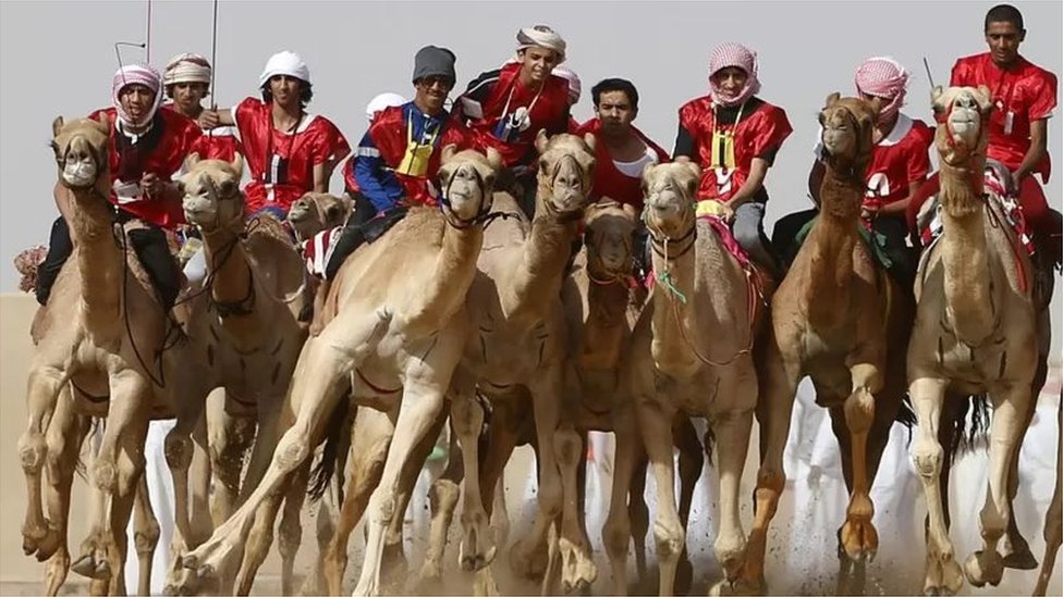 اونٹ کی ریس