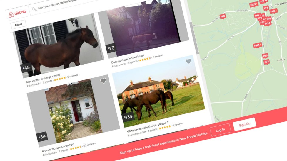Airbnb New Forest