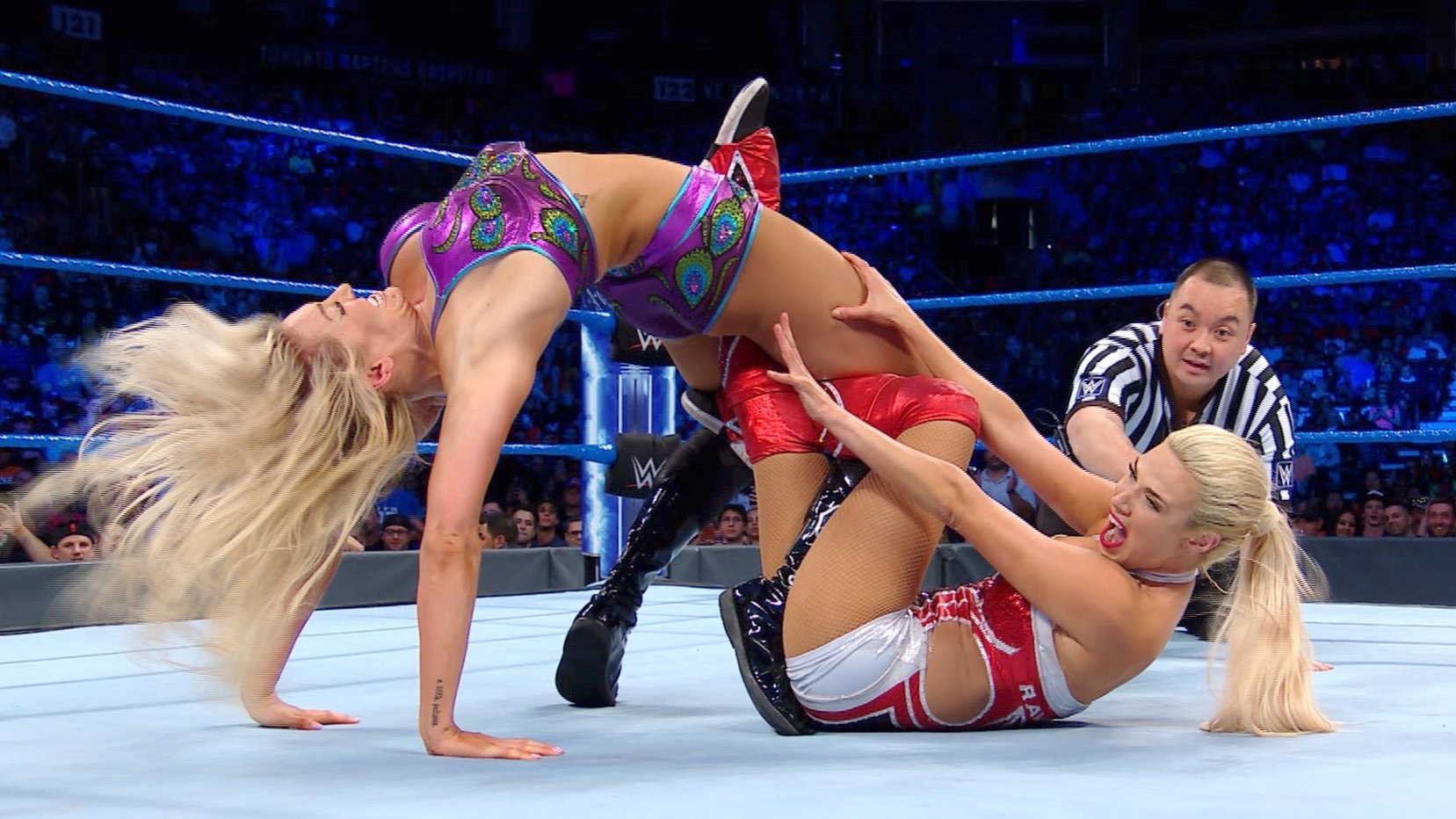 WWE's 5 Most Technical Bra & Panties Matches