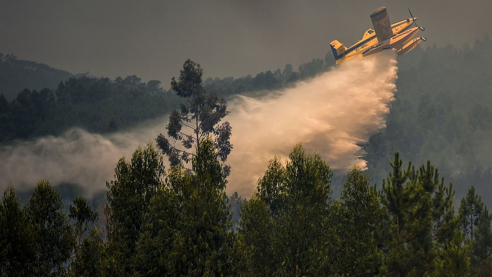 Самолет пожарного сбрасывает воду над лесным пожаром в Релве в Макао, центральная Португалия, 21 июля 2019 г.