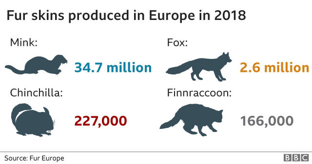 Меховые шкуры европейского производства 2018