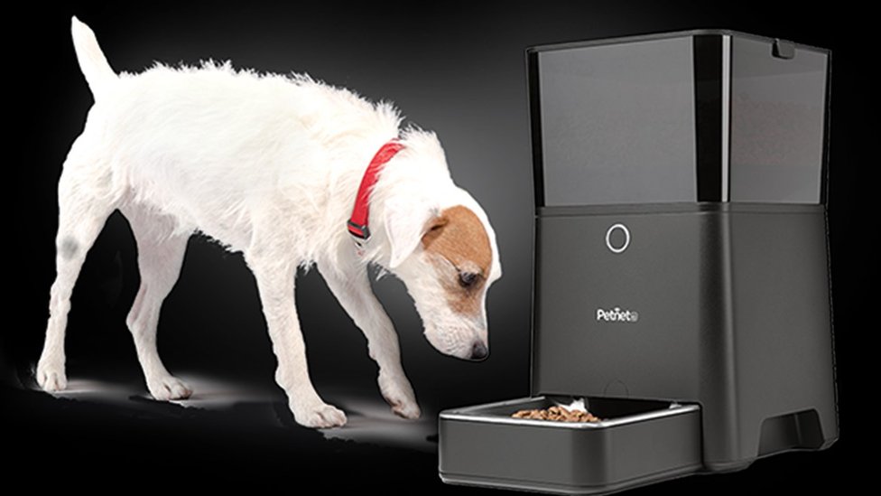 smart home dog feeder