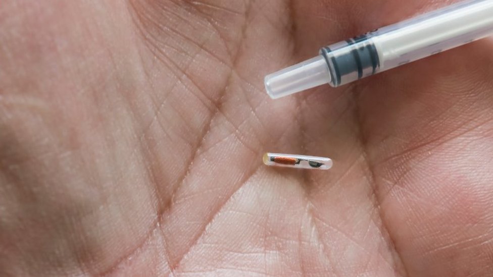 Microchip ao lado de seringa