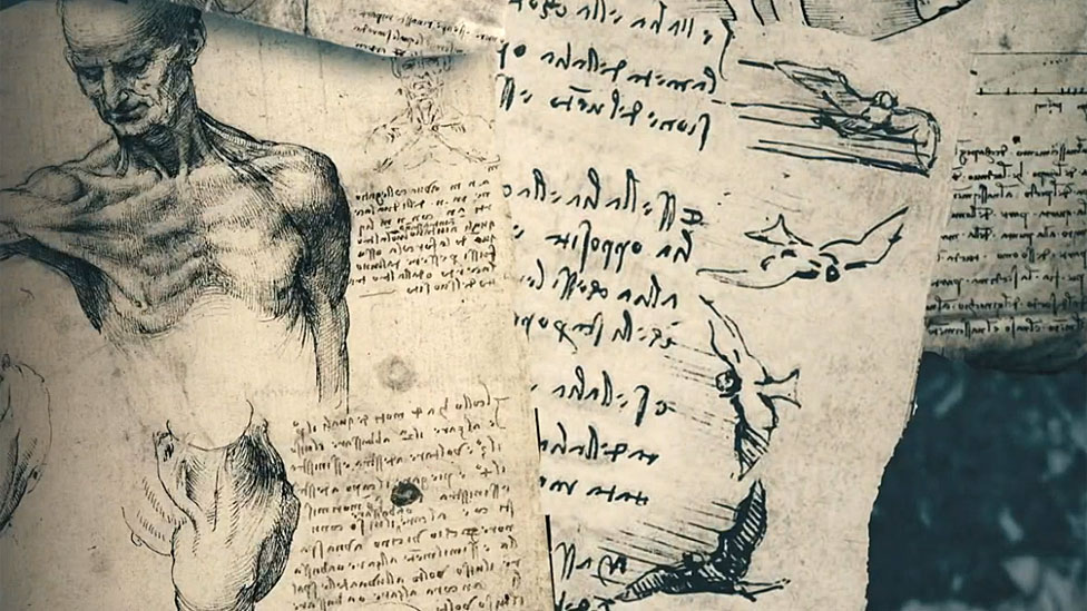 Humanos y animales en escritos de Da Vinci