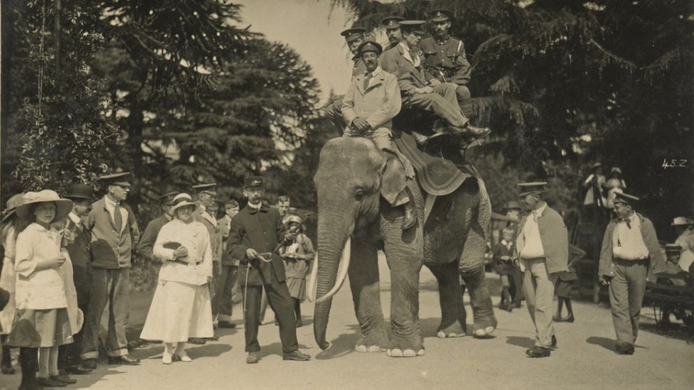 In pictures Bristol Zoo celebrates 180th anniversary