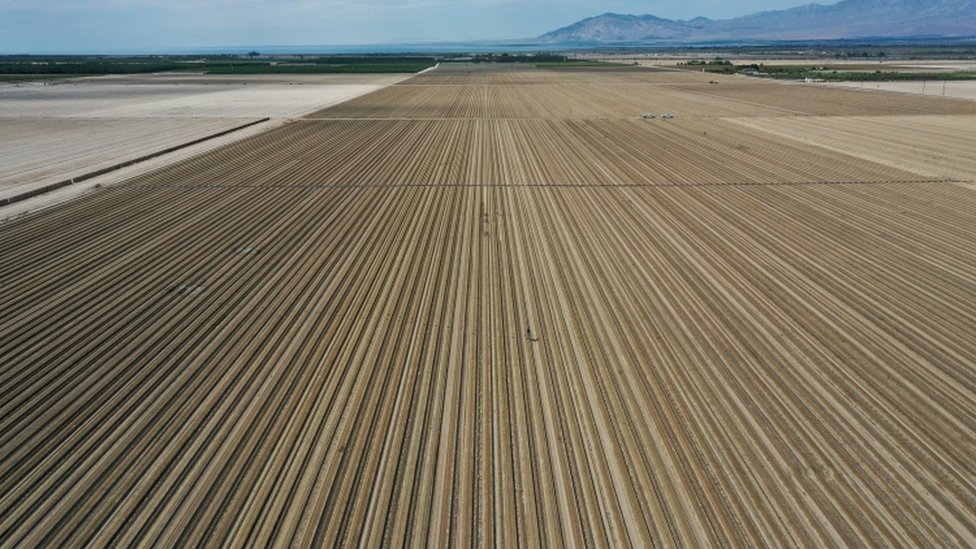 Terrenos sin aprovechar por falta de agua en California
