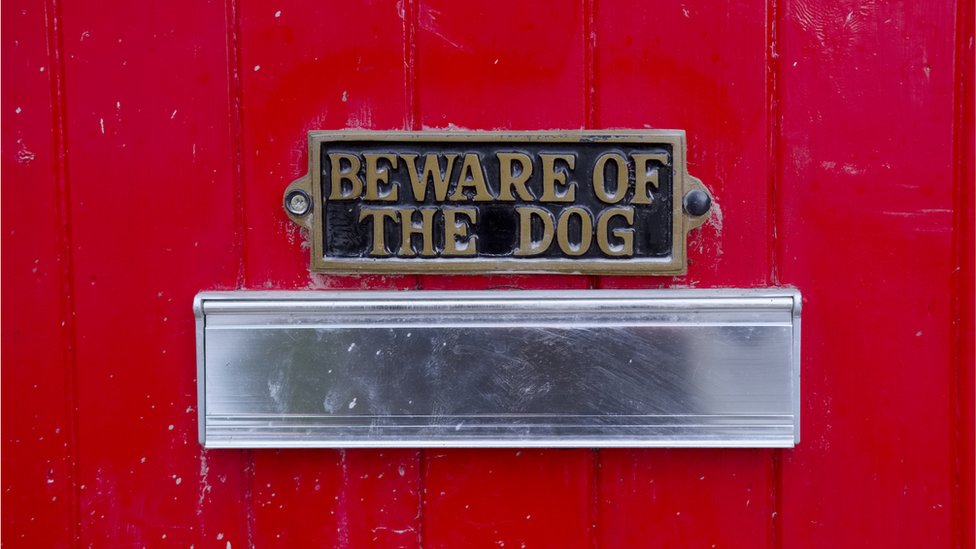 Почтовый ящик с надписью "Остерегайтесь собаки"
