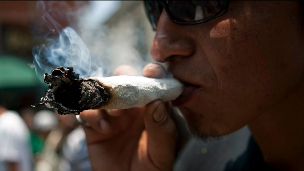 La estrategia de pacificación de AMLO incluye legalizar el cultivo de marihuana.