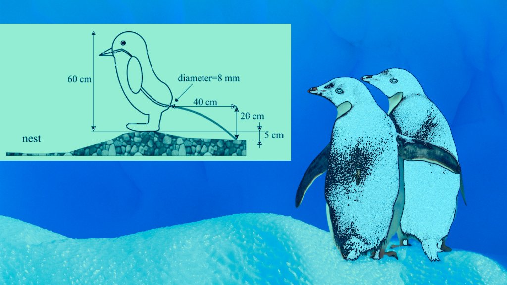 Pingüinos y diagrama de la presión del popó