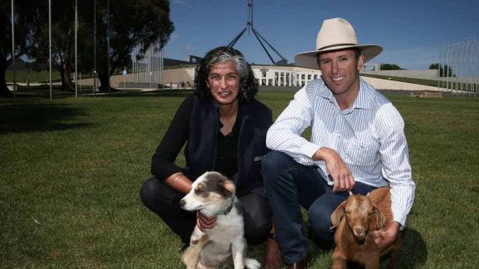 Мужчина и женщина у здания австралийского парламента с собакой и козочкой