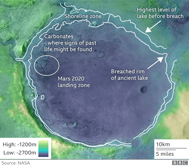 Infographic