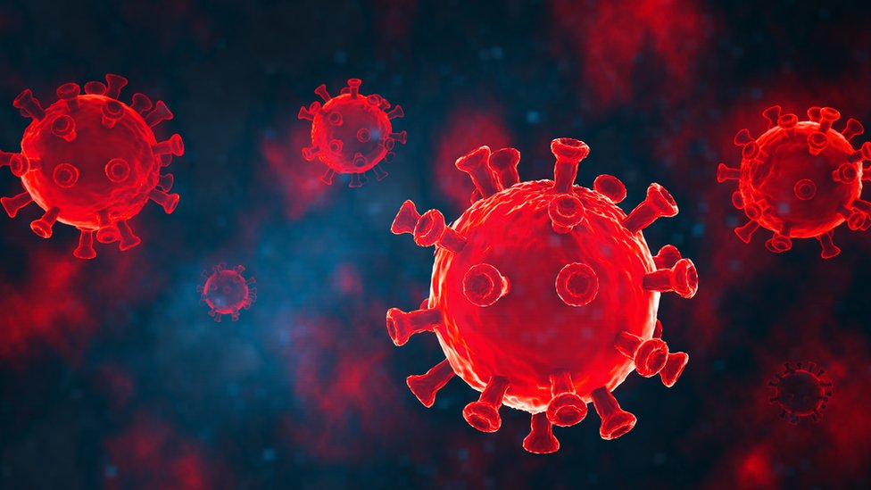 Coronavirus