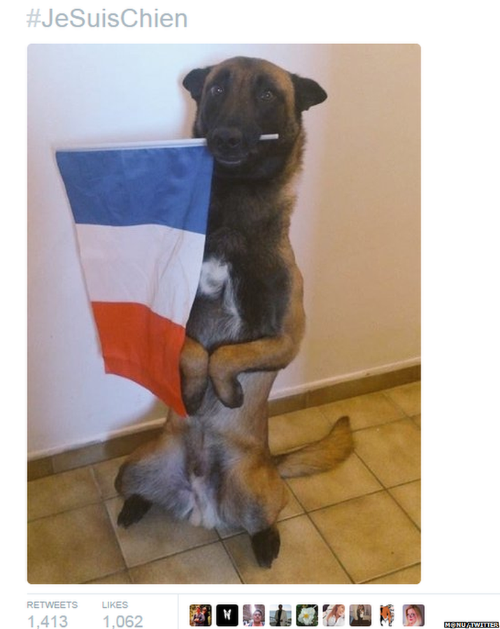 Твит показывает собаку с французским флагом