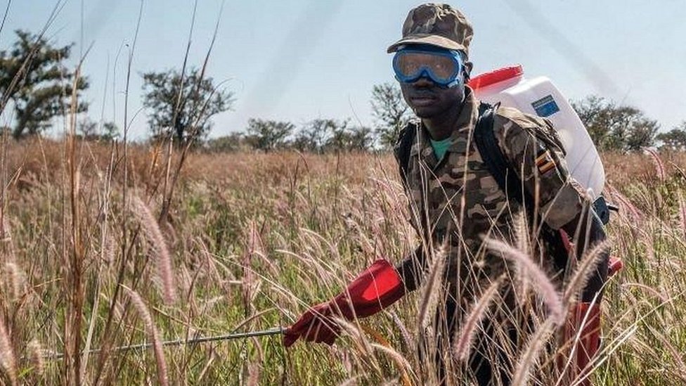 Солдат Уганды опрыскивает посевы