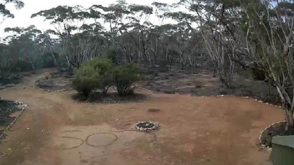 Сообщение SOS, написанное на земле, как видно с камер видеонаблюдения Нила Марриота на его территории в кустах