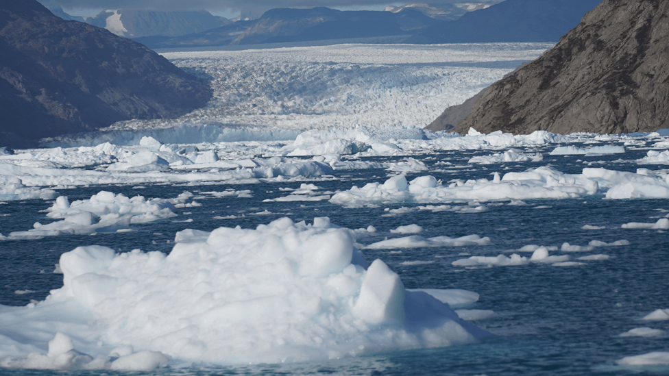 Cambio climático: “Estamos perdiendo Groenlandia”, la alarmante