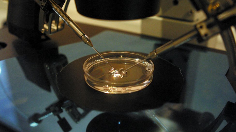 Realización de fertilización in vitro en un laboratorio.