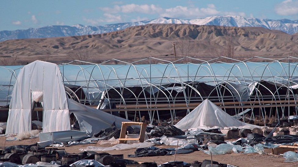Hoop houses on the cannabis farms in Shiprock, New Mexico