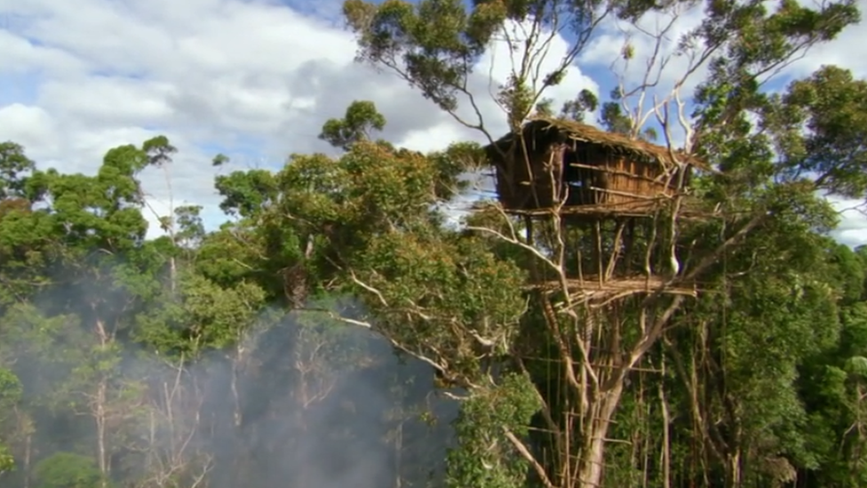 BBC akui rumah  di  atas pohon  orang Korowai di  Papua adalah 