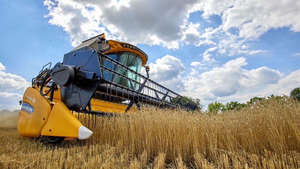 Ukrajinska sposobnost da prebaci žitarice na međunarodno tržište uticaće na svetsku cenu hrane