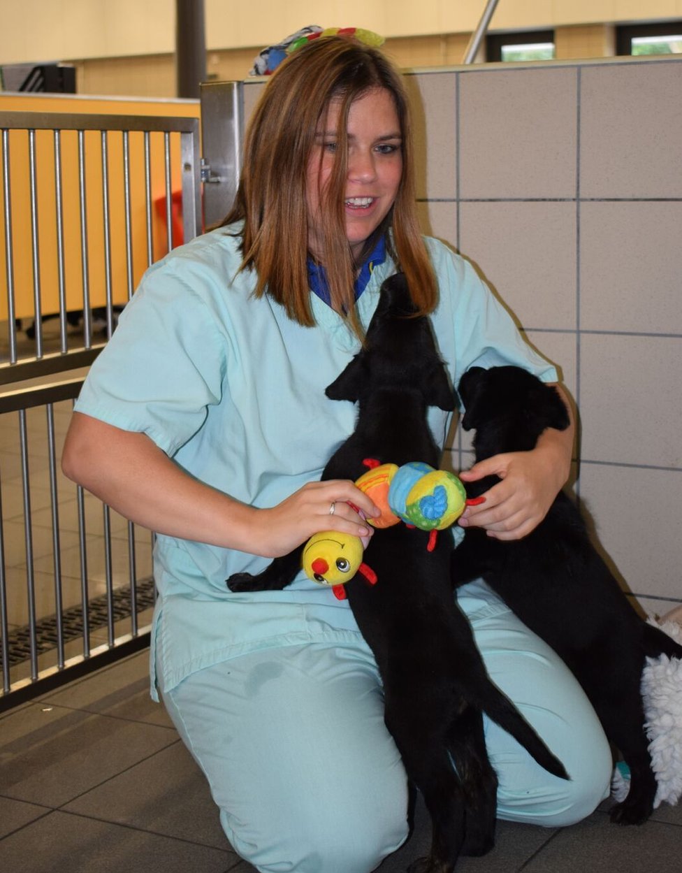 Ana Marinker, supervizor nege pasa pri Gajd Dogovom Nacionalnom centru za rasplod, sa dva štenca