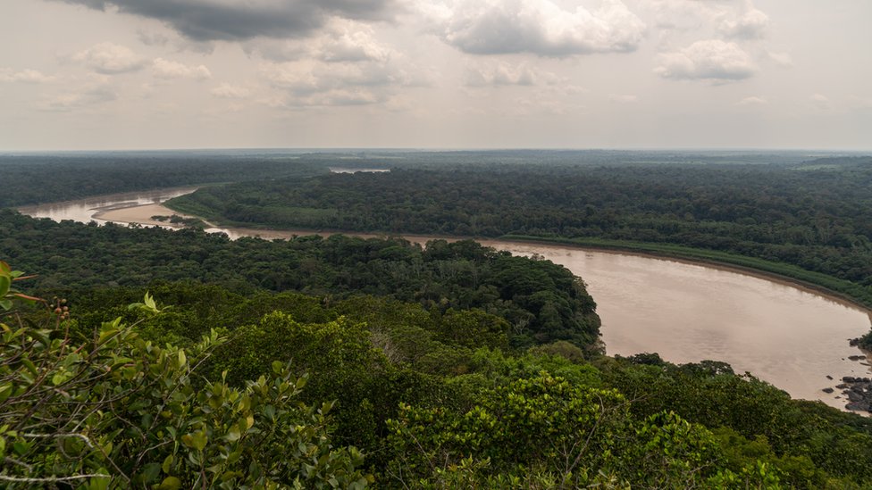 paisaje de la Amazonía