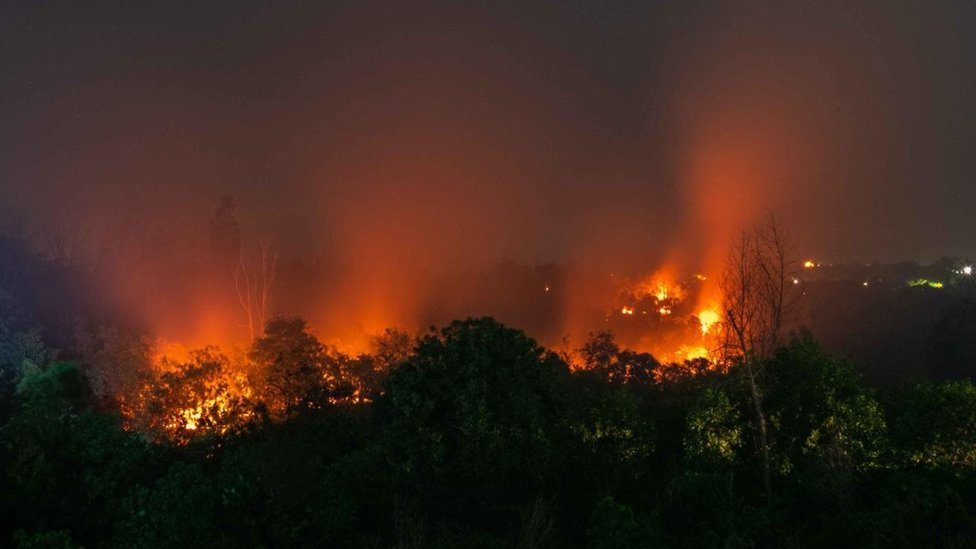 Kebakaran hutan di Indonesia