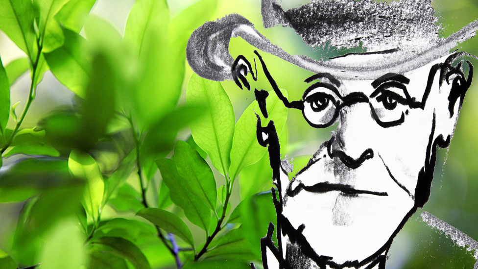 Freud y planta de coca