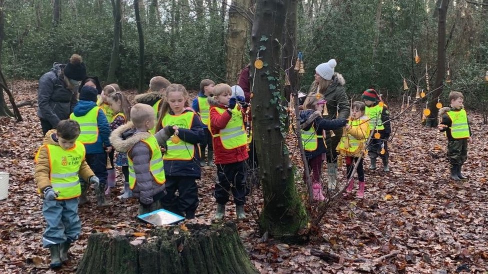 дети учатся в лесу