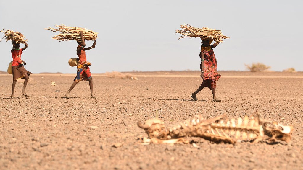 肯尼亞東部省羅揚加拉尼地區一群圖爾卡納族婦女扛著柴枝走過荒漠（12/7/2022）