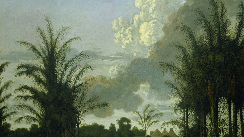 Pintura de plantação de Dirk Valkenburg, 1707