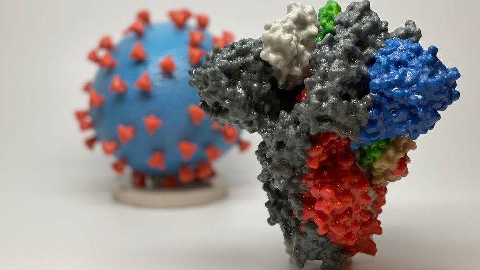 The spike protein (foreground) enables the virus to enter and infect human cells