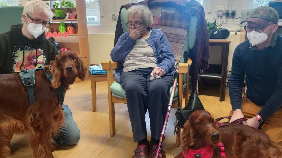 do irish setters like to cuddle